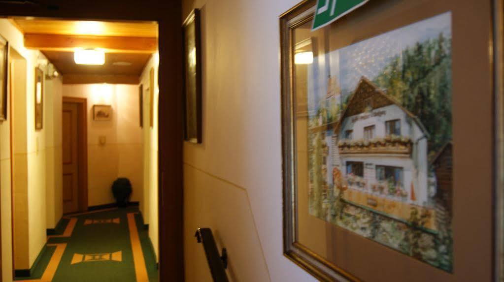 Gasthof Pension St. Wolfgang Kirchberg am Wechsel Buitenkant foto